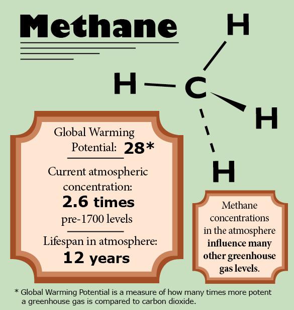 Methane is the second most abundant greenhouse gas in the atmosphere. It is primarily released as a byproduct of livestock digestion. 