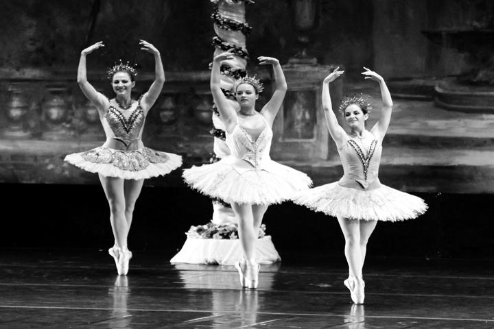 A night at the Ballet: Sleeping Beauty