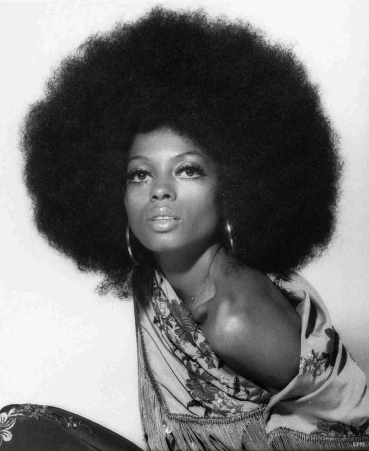 Hair Facts 52 Important Afro Hair History and Hairstyle Facts  All Things  Hair US