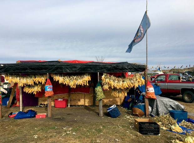 Ears of corn hang at a camp near the Dakota Access Pipeline construction site.