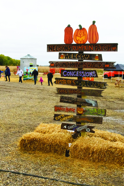 Playing in the Pumpkin Patch