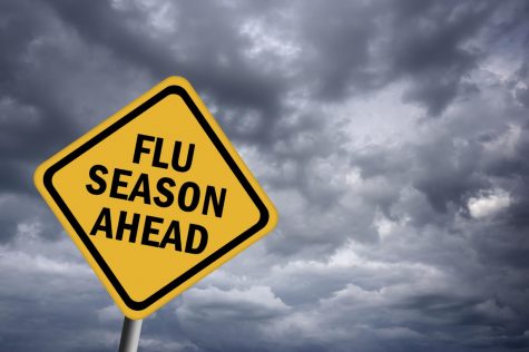 Fighting Cold and Flu Season