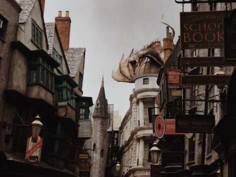 The Controversies of the Wizarding World