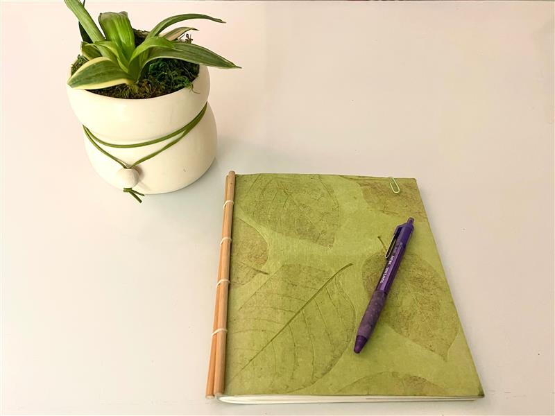 Photo of notebook and plant on white surface