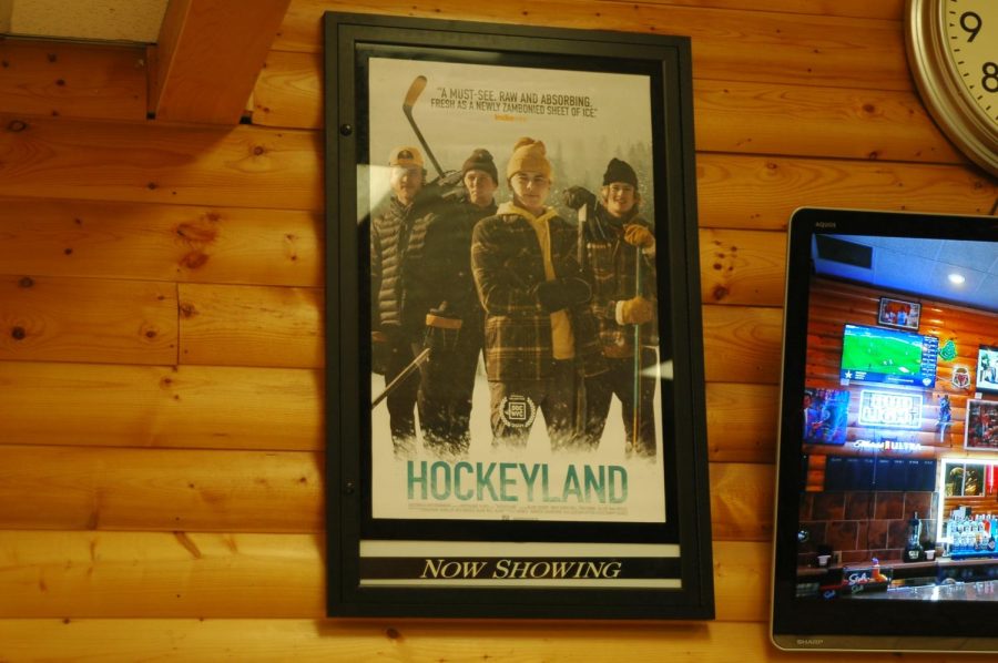 hockeyland poster - small glare