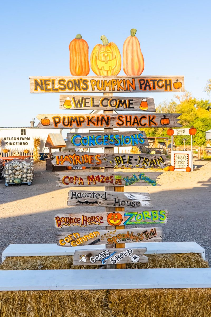 Nelsons Pumpkin Patch Hosts Moonlight Magic in the Maze