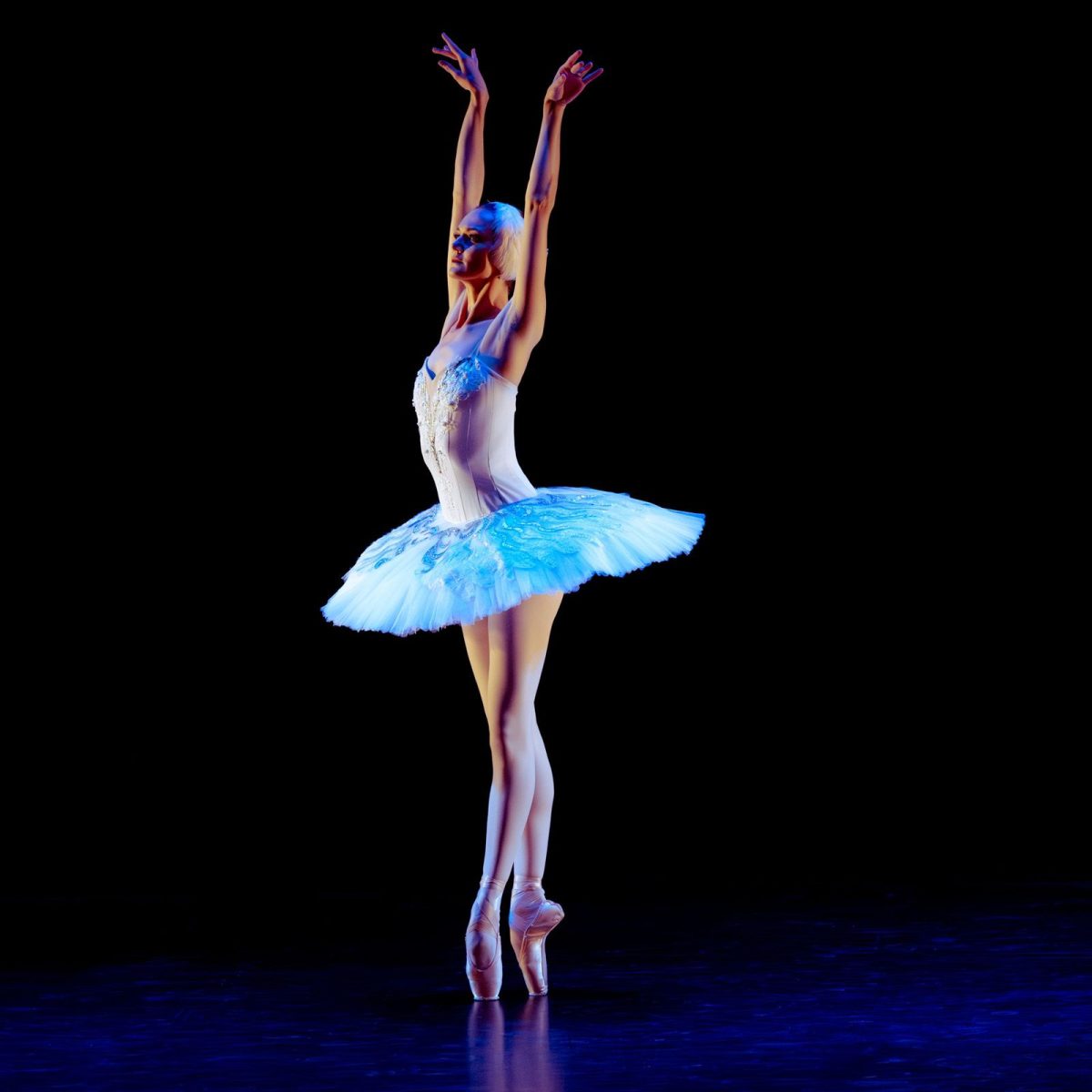 Swan Lake Sadie, World Ballet Company