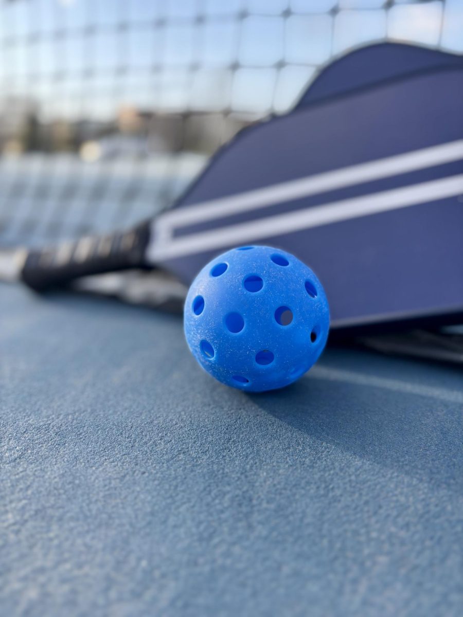 The Pickleball Craze in America